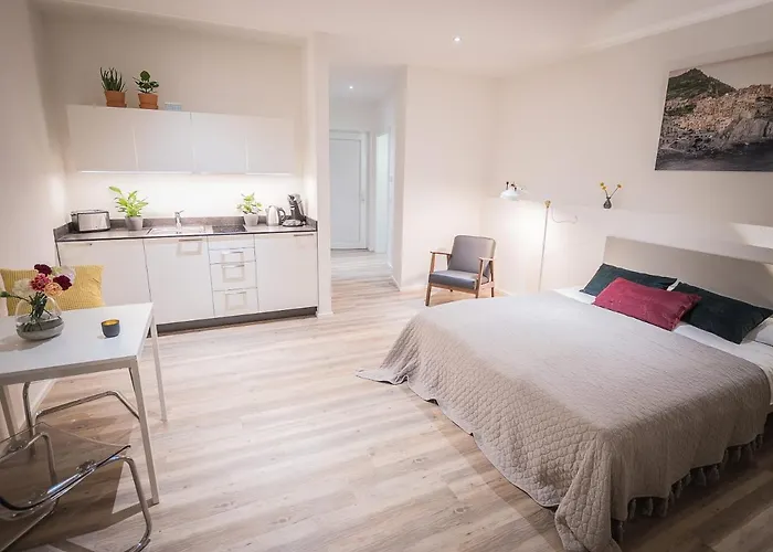 Freiburger-ferienwohnung 펜션 프라이부르크 임 브리스가우