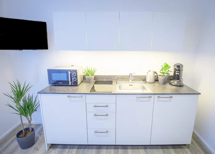 Feriehus Freiburger-ferienwohnung Freiburg im Breisgau